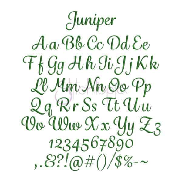 Script Embroidery Font Bundle - 10 Fonts - Image 4