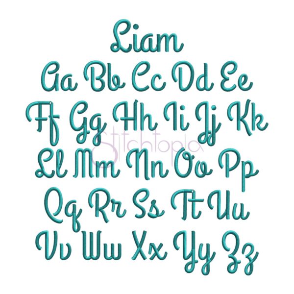 Script Embroidery Font Bundle #4 - 10 Fonts - Image 5