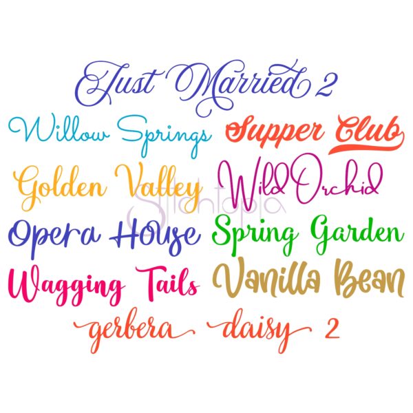 Script Embroidery Font Bundle #11 - 10 Fonts