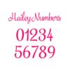 Hailey Embroidery Font  Bundle 1-4 & 10 Accents  Small - Image 6