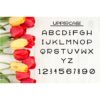 Breezy Picnic Alphabet SVG Cut Files - Image 2