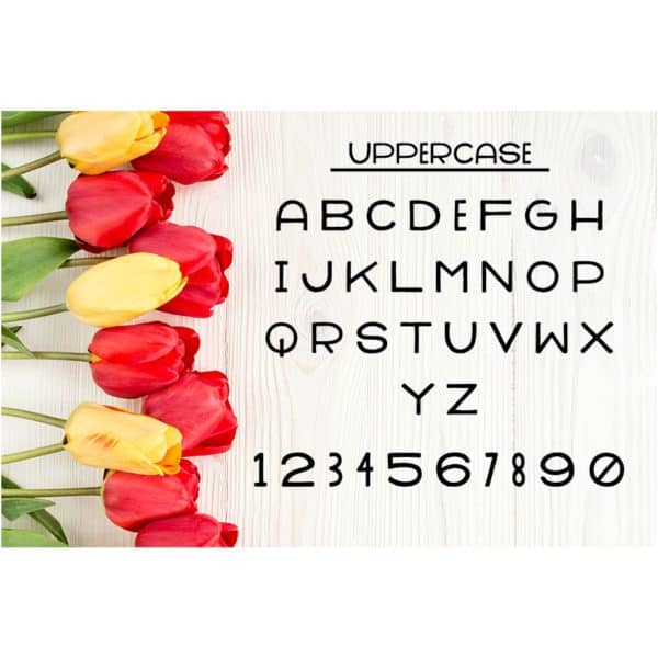 Breezy Picnic Alphabet SVG Cut Files - Image 2
