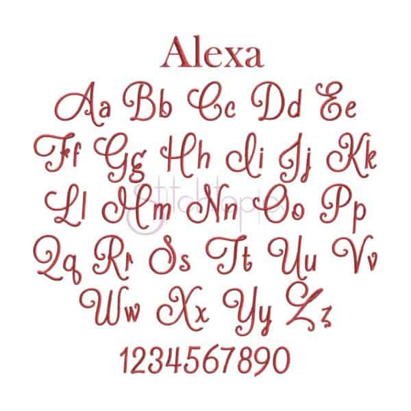Script Embroidery Font Bundle #3 - 10 Fonts - Image 2