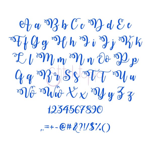 Script Embroidery Font Bundle #5 - 10 Fonts - Image 8